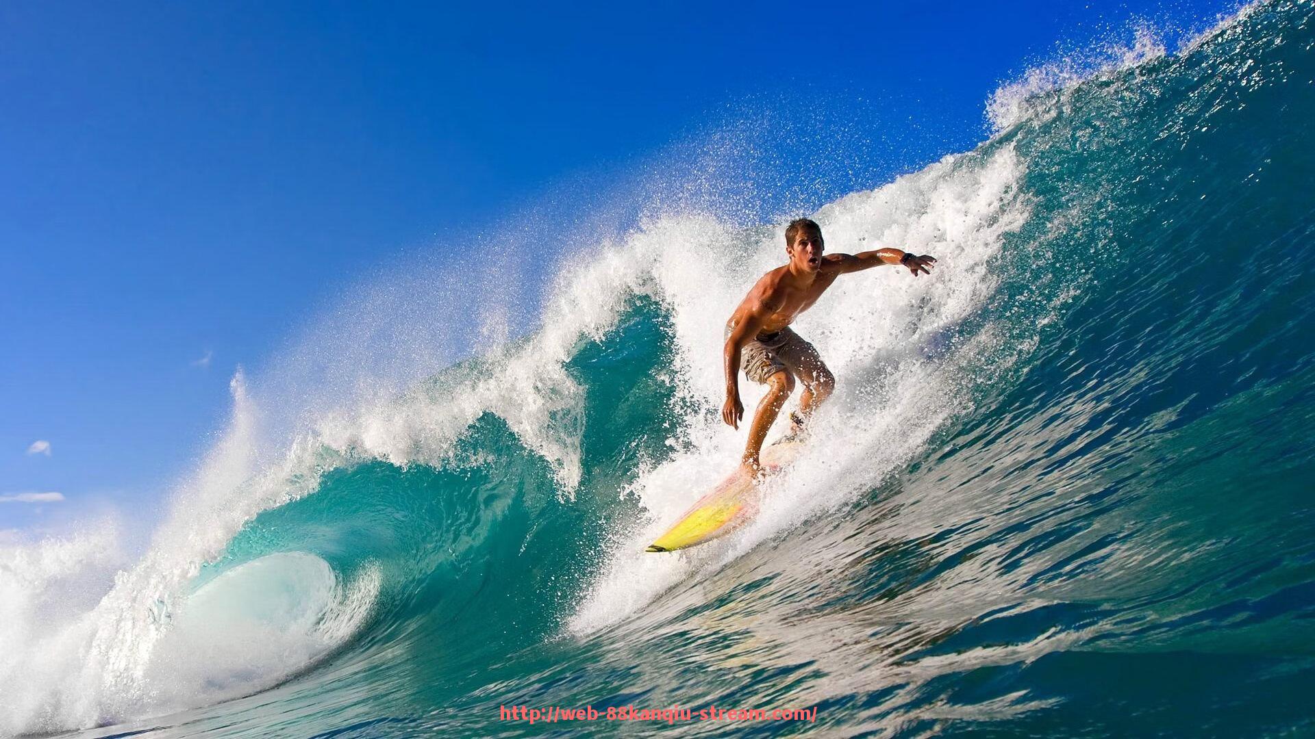 88看球网-构建健全的世俱杯赞助商权益保护机制：规则、流程与执行力